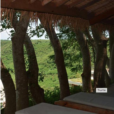 Heaven On The Planet Hotel Ekas Esterno foto