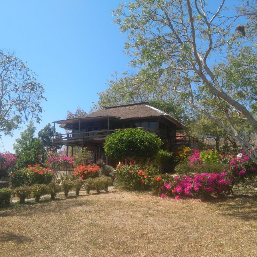 Heaven On The Planet Hotel Ekas Esterno foto